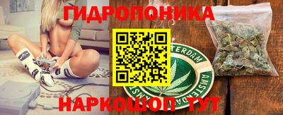spice Абакан
