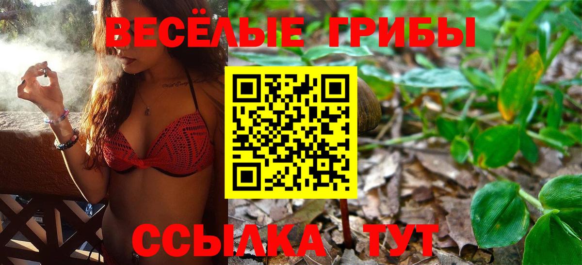 Галлюциногенные грибы мицелий Ростов Великий