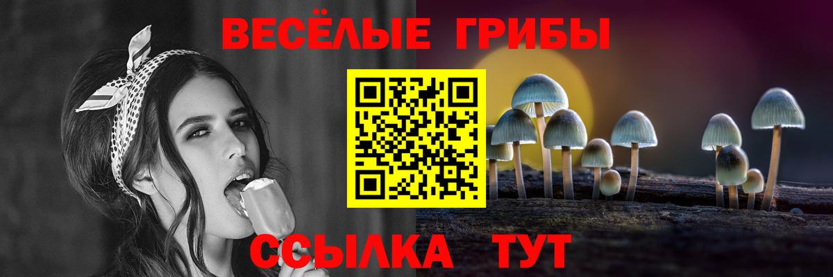 Галлюциногенные грибы GOLDEN TEACHER Ростов Великий